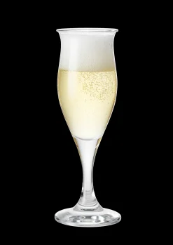 Holmegaard Idéelle Champagneglas 23 cl klar | Køb her